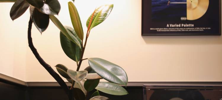 BAMBOO小竹.院子(陶溪川创意广场雕塑瓷厂店)图片