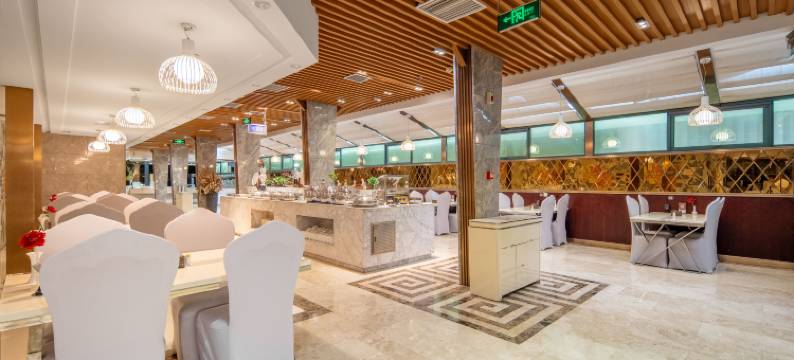 洛阳新天鹅国际大酒店(丹尼斯大卫天地解放路地铁站店)图片