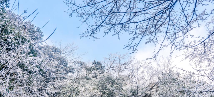 清远金子山森林雪谷壮瑶度假村图片