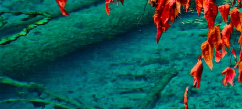 野隐·山居民宿(九寨沟风景区游客中心打卡点店)图片