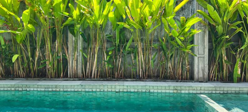 The Lavana Allena Living Bali图片