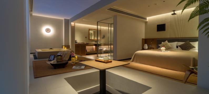 腾冲一善园硫磺温泉艺术度假美宿图片