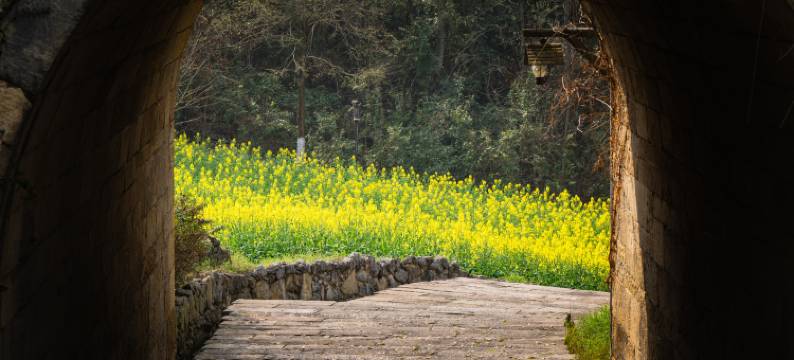 遵义乌江寨暮山酒店图片
