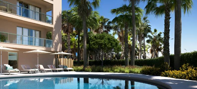 Flamingos Salgados图片