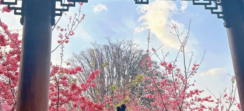 静心雅苑·宋氏美学国风小院(大理古城三月街店)图片