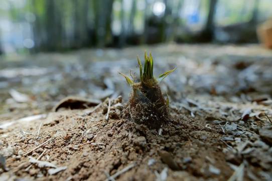 湖州西塞山鸿居酒店图片