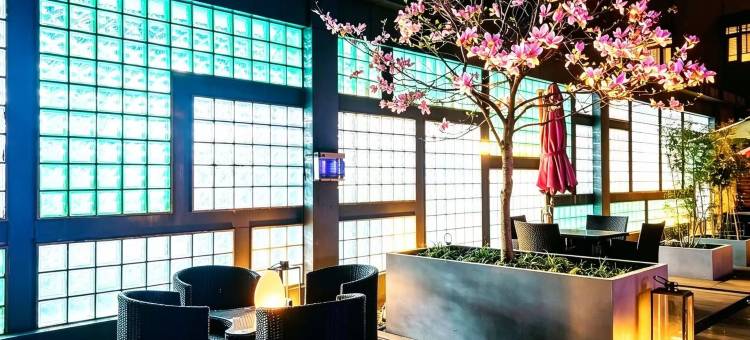 新泰五星假日酒店图片