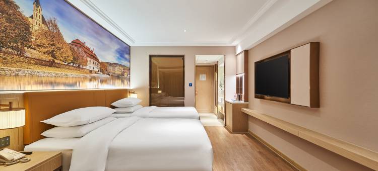 维也纳酒店(漯河黄河东路店)图片