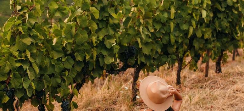 兰莫格酒店(Lamego Hotel & Life)图片