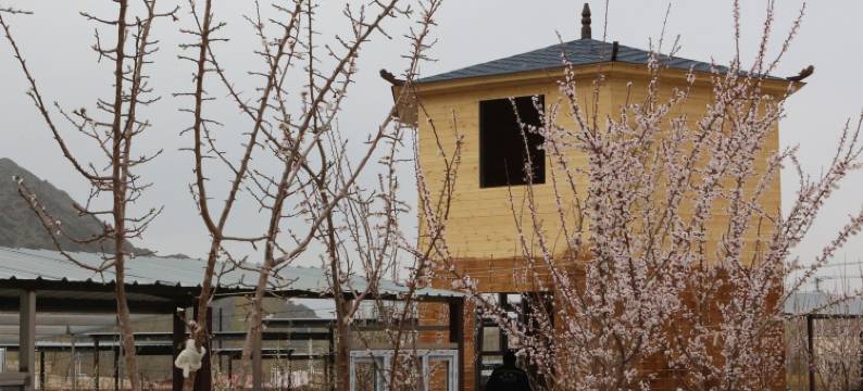 别情小院农家乐(白杨沟店)图片