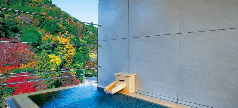 月光园鸿胧馆(Arima Onsen Gekkoen Korokan)图片