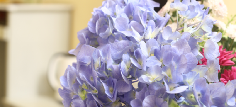 鄂州罗鑫宾馆图片