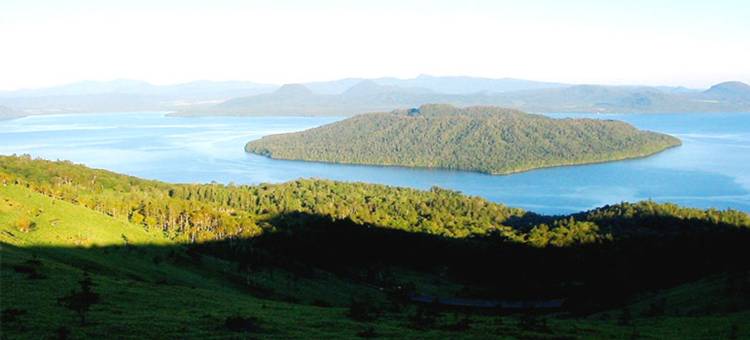 东横北海道北见站前酒店(Toyoko Inn Hokkaido Kitami Ekimae)图片