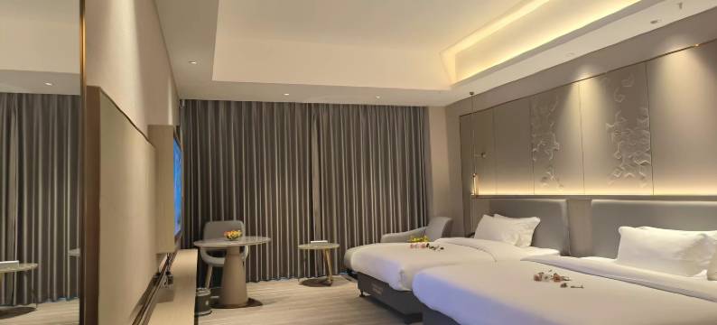 海纳国际酒店(东莞长安店)图片