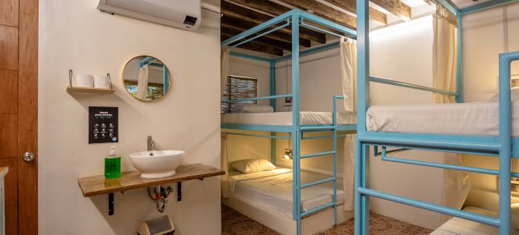 邦劳疯猴酒店(Mad Monkey Panglao)图片