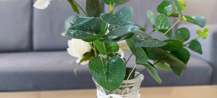 如家派柏·云酒店(石狮泰禾广场店)图片