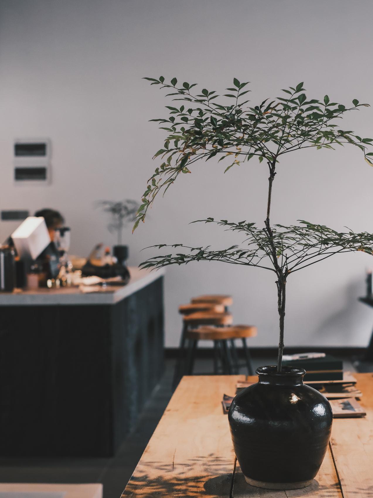 Deshe Life Guesthouse Hotel Overview