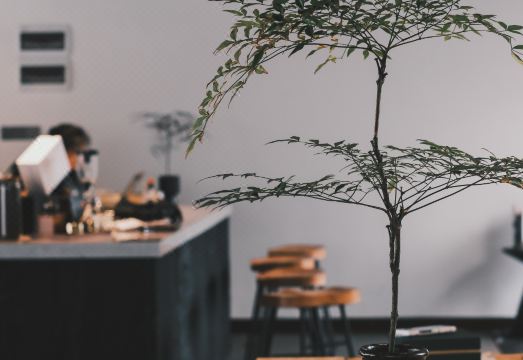 Deshe Life Guesthouse Hotel Overview