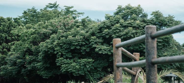 汕头妈屿湾亦安民宿图片