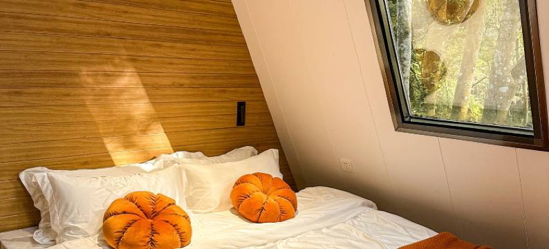 山野听溪民宿图片