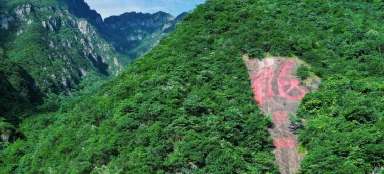 衢州博悦大酒店图片