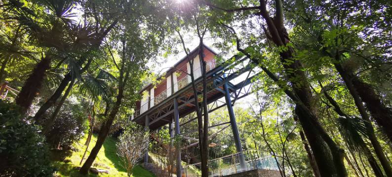 青城山卿宿青城·私汤森林民宿图片