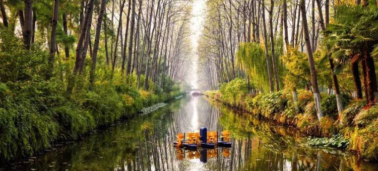 一支百合智慧酒店(合肥滨湖竹园地铁站店)图片