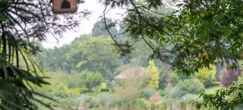 峨眉山乌兰度假酒店图片