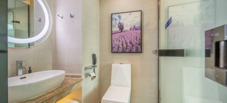 星程酒店(洛阳南昌路王府井店)图片