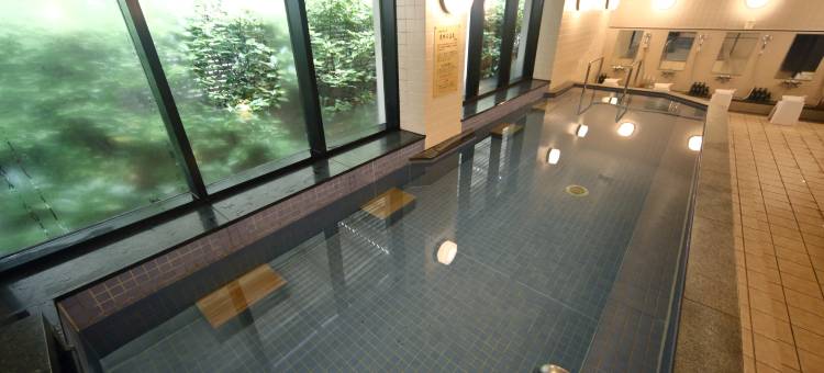 奈良日航国际酒店(Hotel Nikko Nara)图片