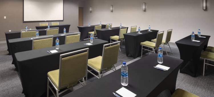 芝加哥绍姆堡福朋喜来登酒店(Four Points by Sheraton Chicago Schaumburg)图片