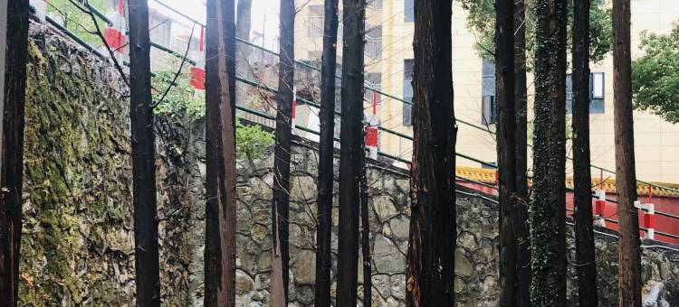 康养灵酒店(怀化火车站新天地广场店)图片