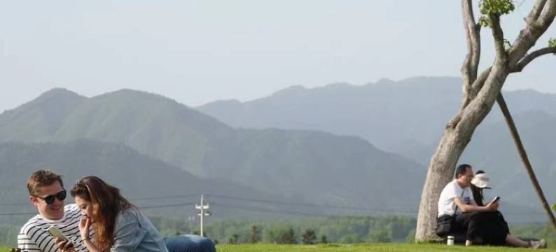 黄山澍德堂•黟县交叉小径的花园图片