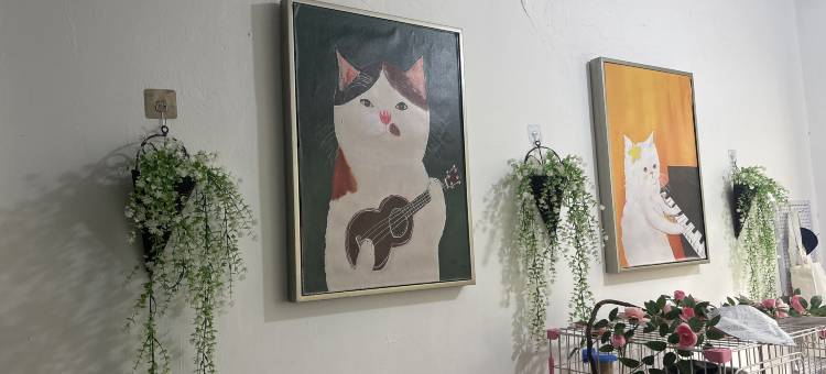 氧气Hub青年旅舍(安阳师范学院店)图片