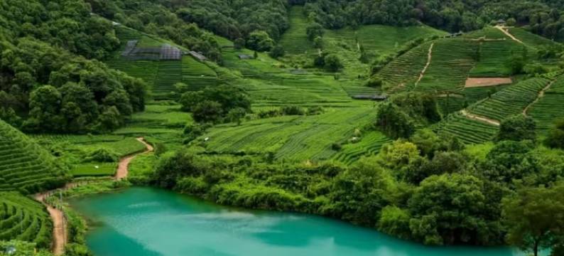 杭州•南歌｜DESIGNER•SOUTHERN•SONG酒店(杭州金沙湖地铁站店)图片