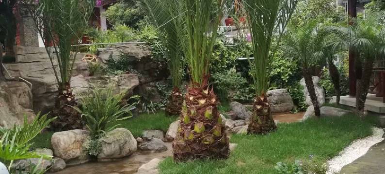 悦居酒店(嘉禾六中店)图片