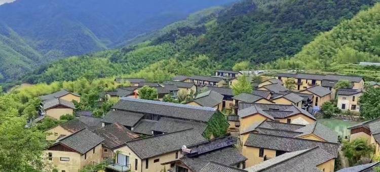 义乌栖隐大安半山民宿图片