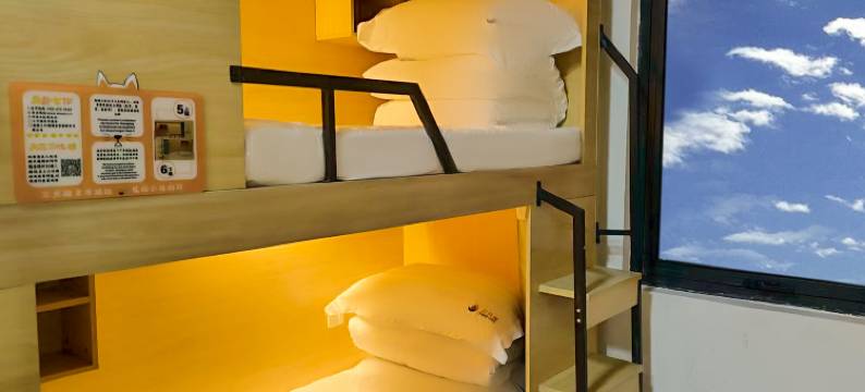 三只猫青年旅舍(亳州高新万达店)图片