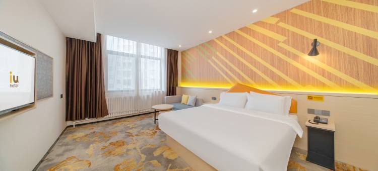 IU酒店(东平政务大厅东顺广场店)图片