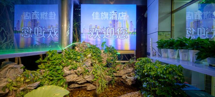 厦门佳旗酒店(SM城市广场江头地铁站店)图片