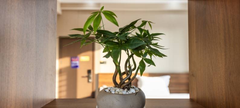 希雅顿智能酒店(徐闻县政府进港大道店)图片