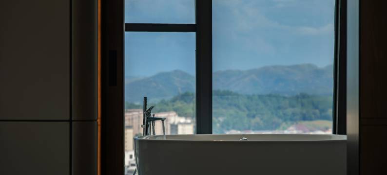 安吉国际会展酒店图片