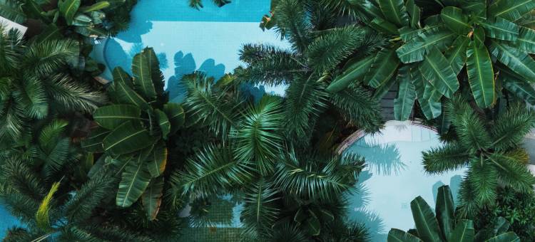 维也纳酒店(弥勒湖泉水乡温泉店)图片