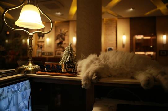 厦门神秘图鉴·SecretLand民宿(中山路步行街八市店)图片