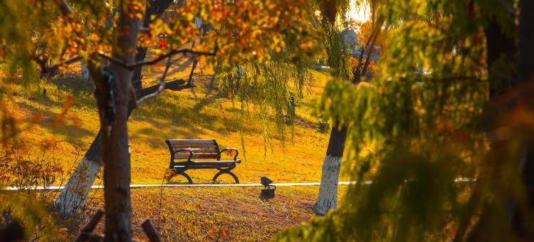 上海滴水湖洲际酒店图片