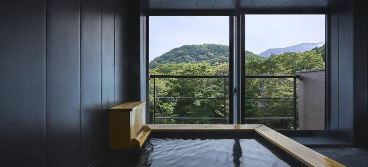 箱根雲雀乃温泉酒店(Hakonehibarino hot spring hotel)图片