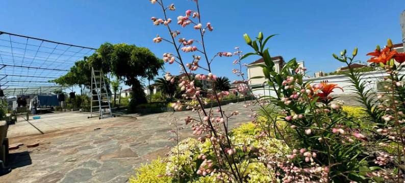 SMART青年旅舍(上海灵岩南路店)图片