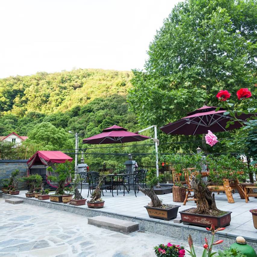 莫干山结庐居民宿(庾村广场店)图片