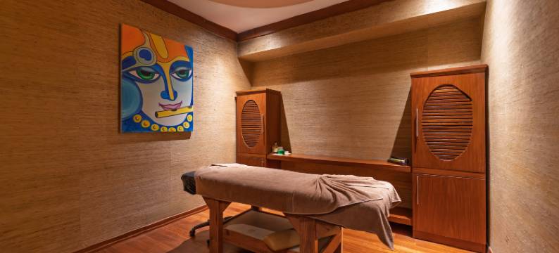 MCG 酒店温泉会议中心(MCG Hotels Thermal Spa Convention Center)图片