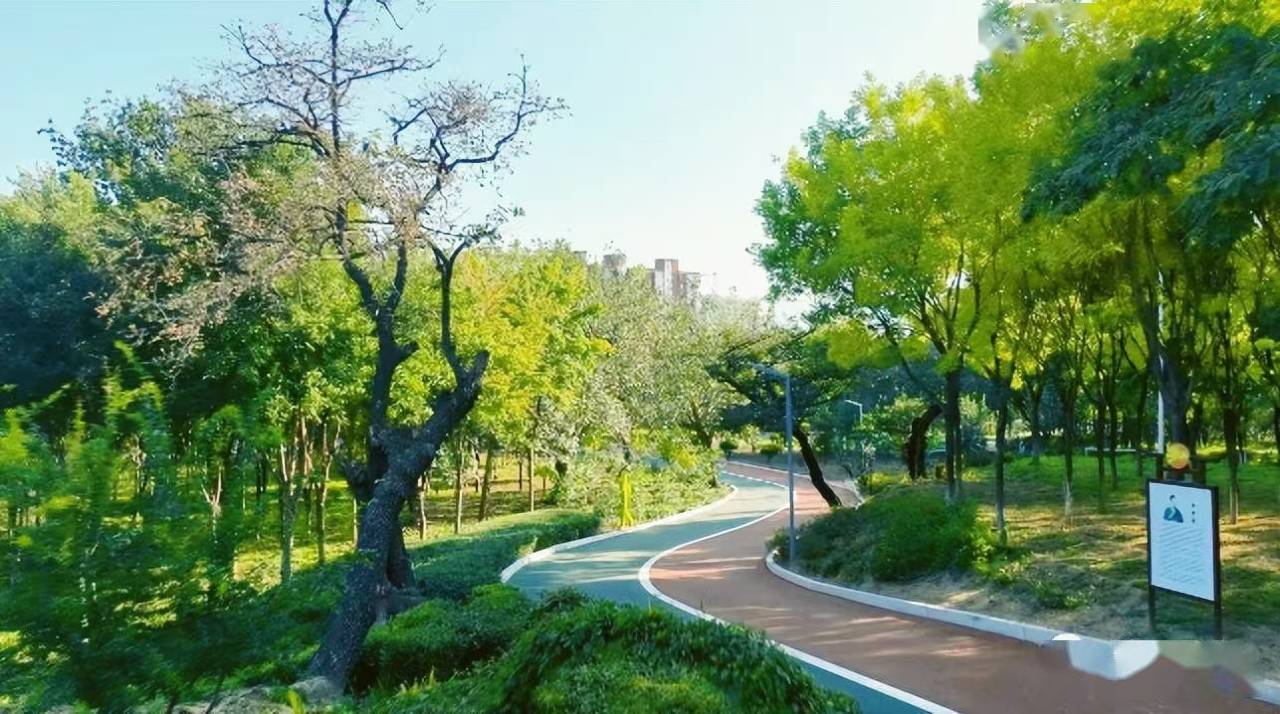 邯郸涉县希尔顿花园酒店图片